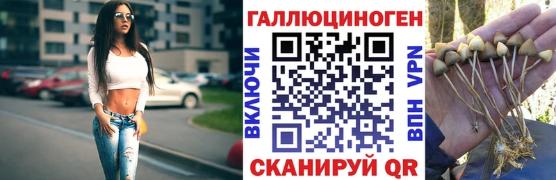 Псилоцибиновые грибы ЛСД  ОМГ ОМГ рабочий сайт  Новокубанск 