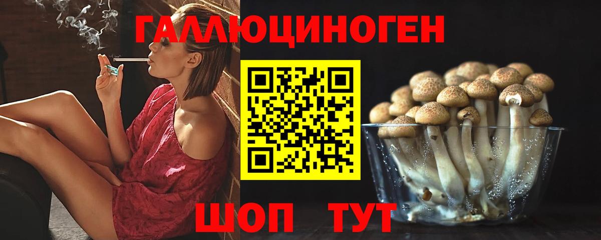 Новокубанск  Галлюциногенные грибы Cubensis  Вход с VPN 
