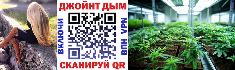 купить наркотики цена  дарк нет официальный сайт  Каннабис семена  Новокубанск 