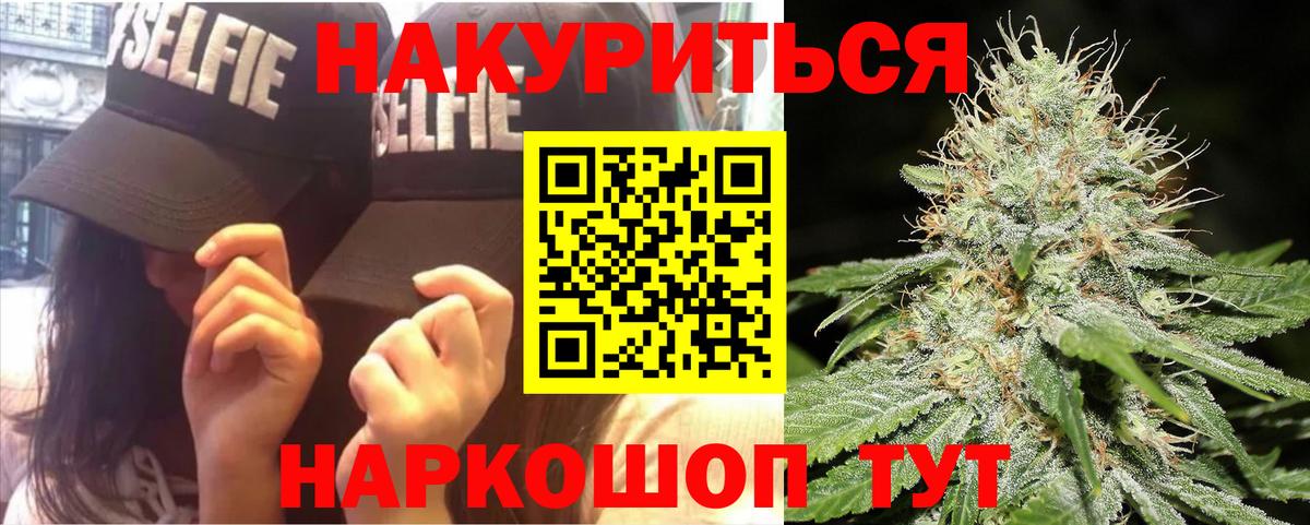 Каннабис индика Новокубанск